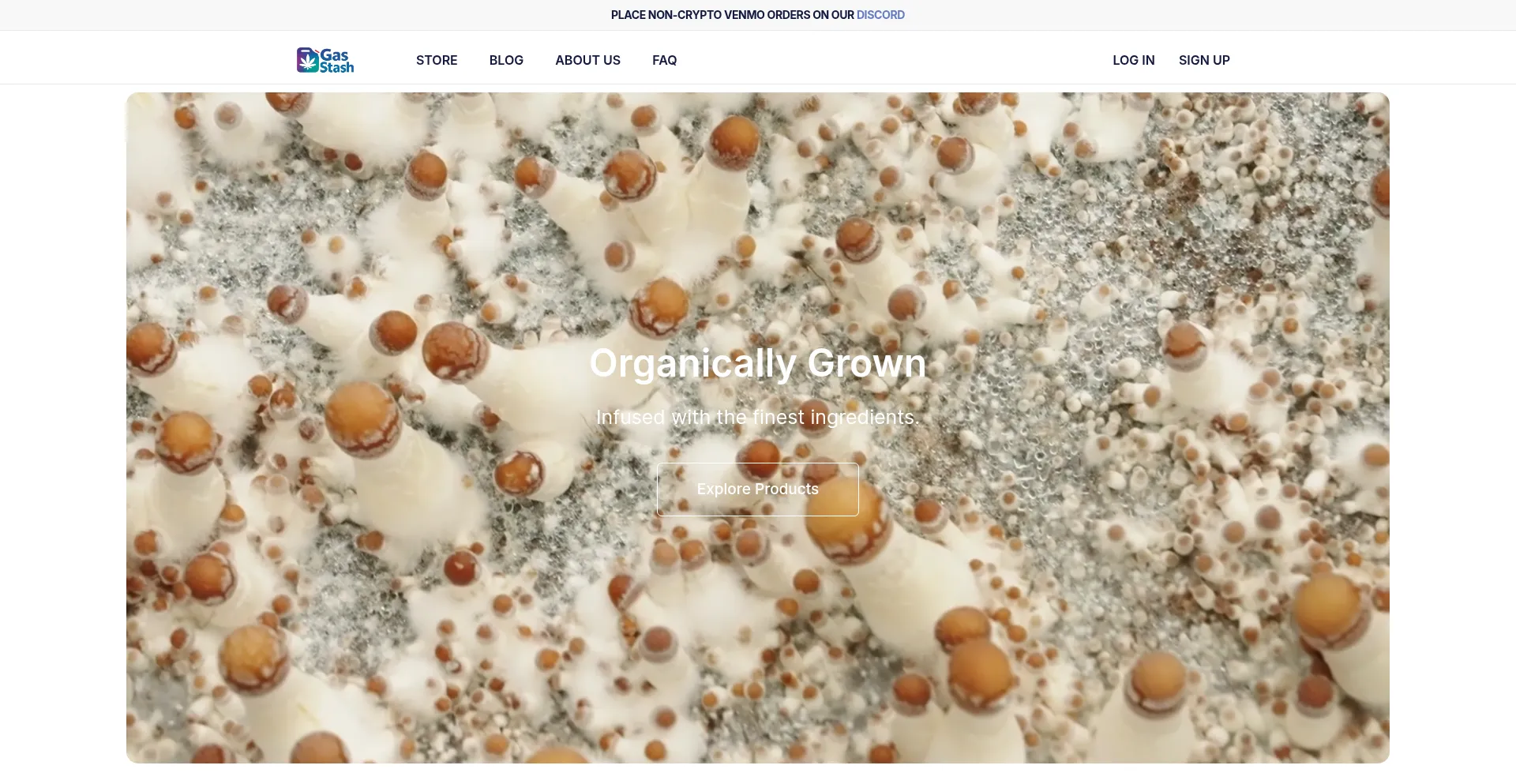 Website screenshot of Gasstash.com
