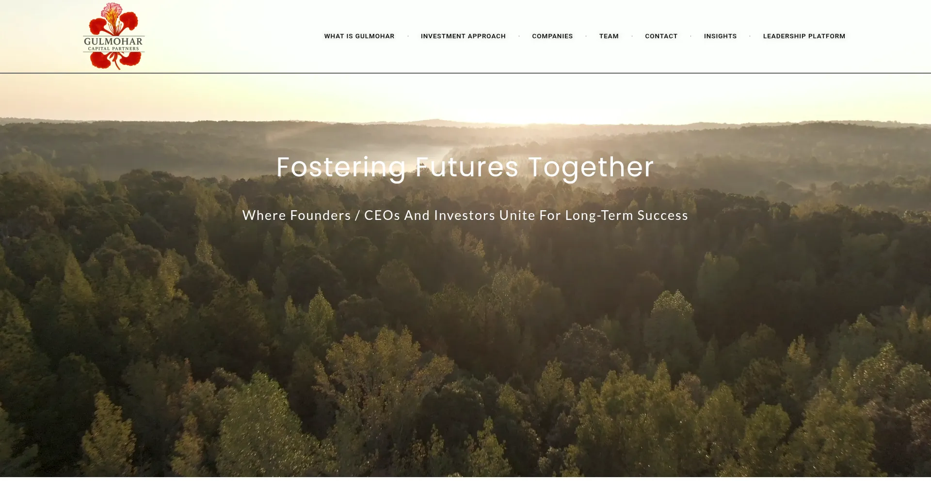 Gcpartners.tech