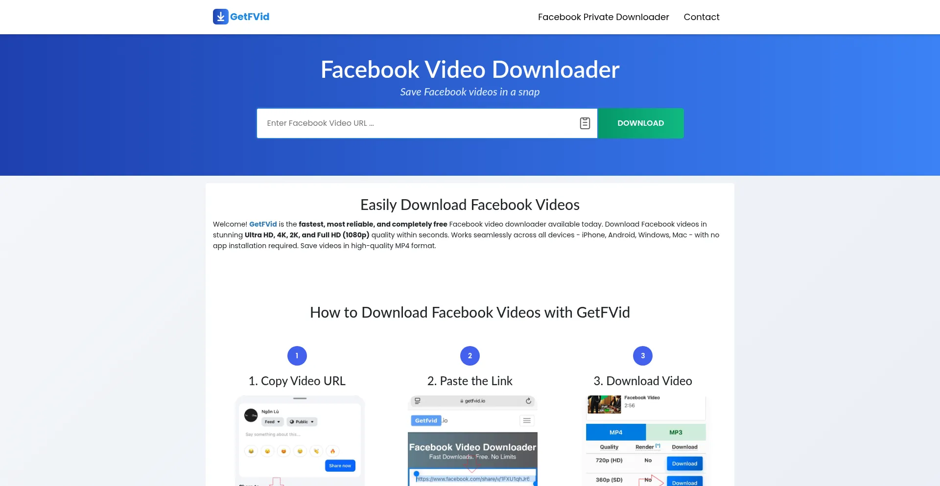 Website screenshot of Getfvid.io