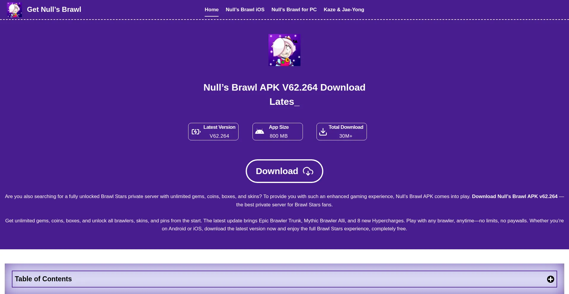 Website screenshot of Getnullsbrawl.org