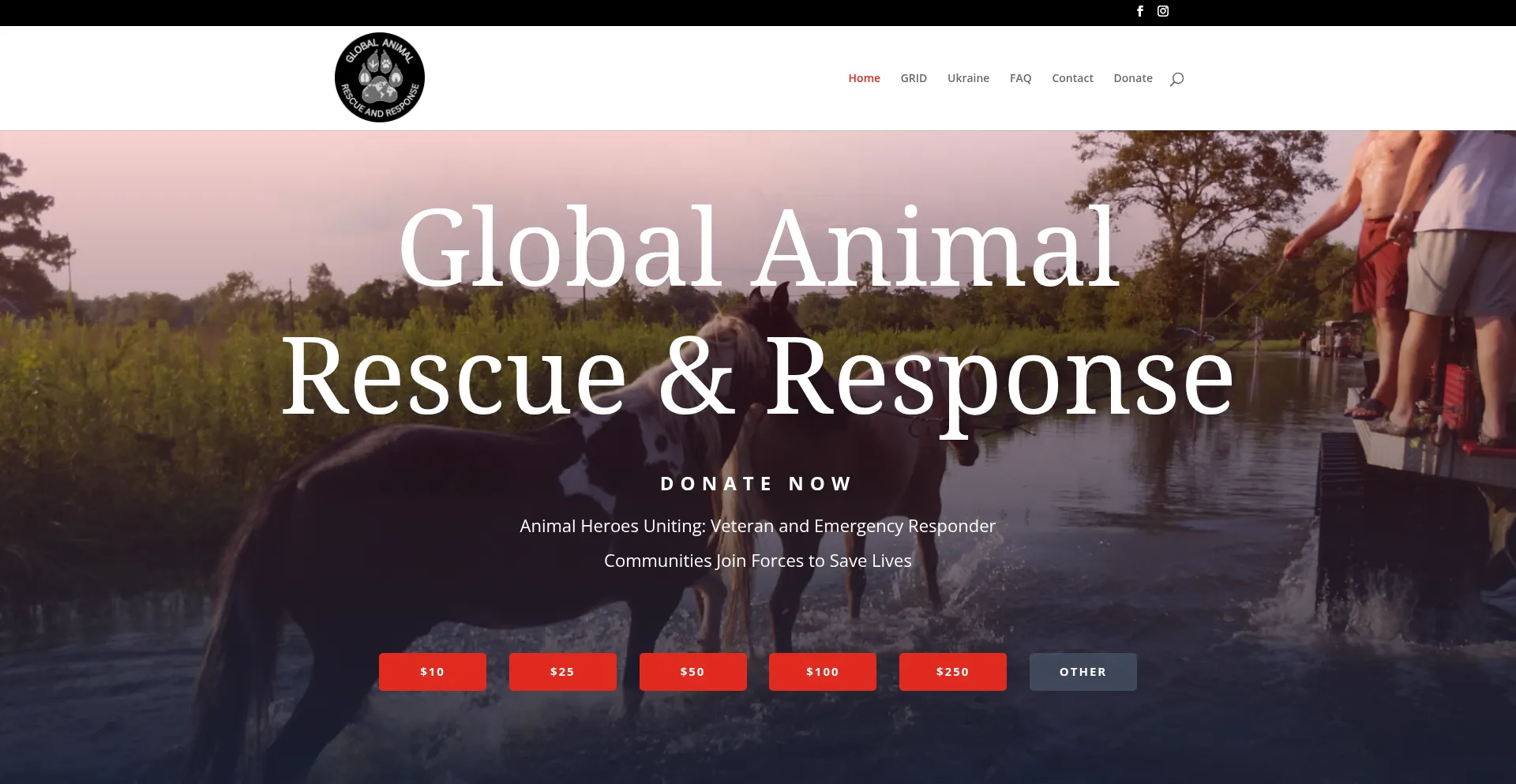 Globalanimalrescueandresponse.org