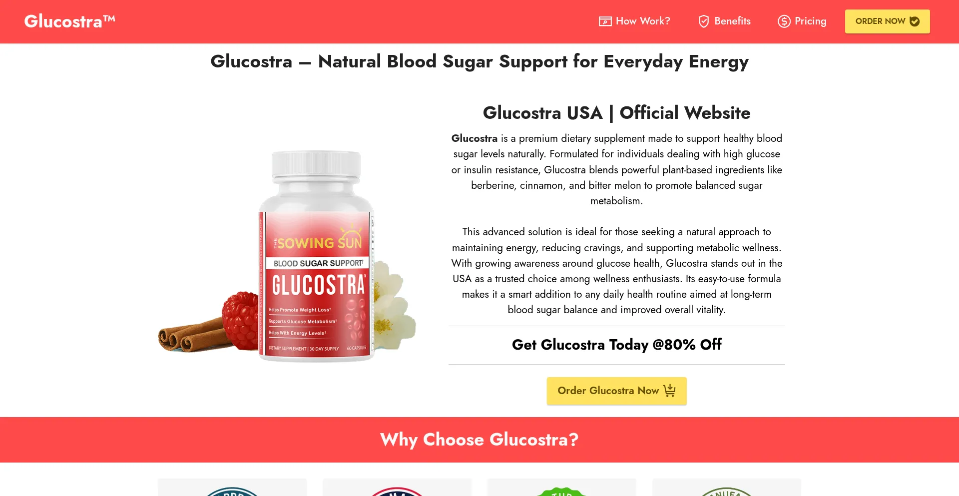 Website screenshot of Glucostra-us.us