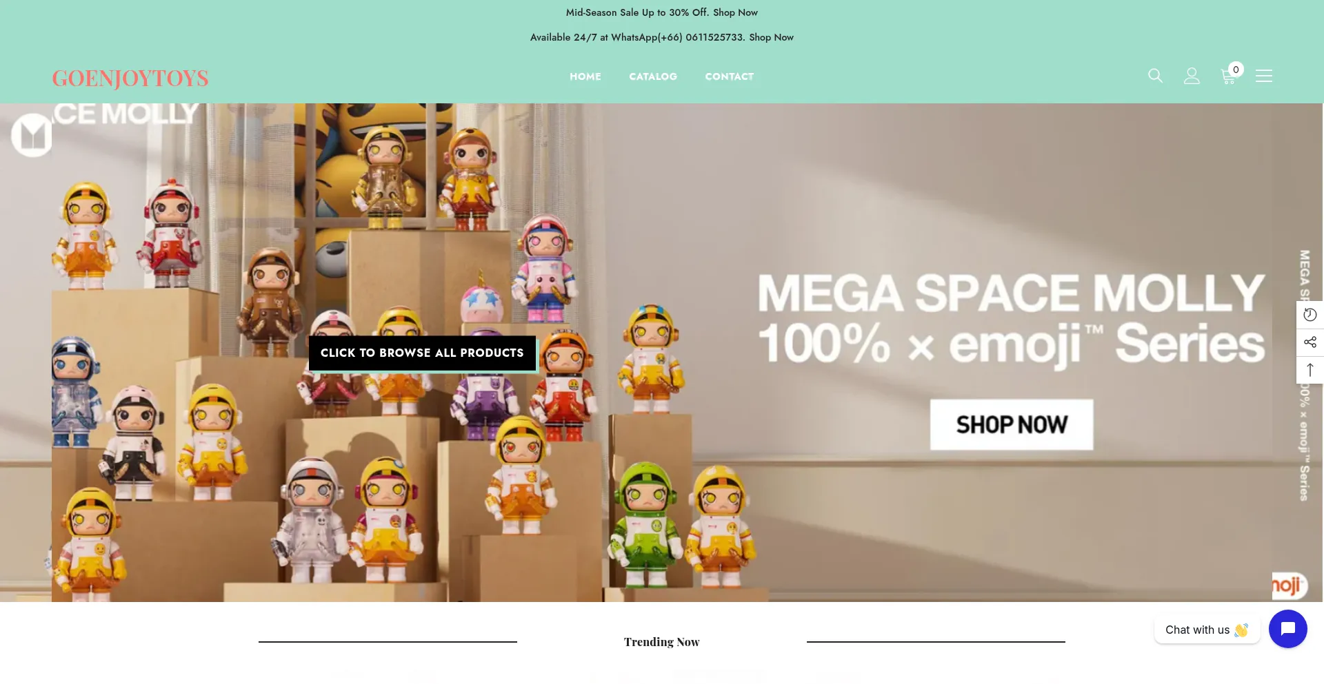 Website screenshot of Goenjoytoys.com