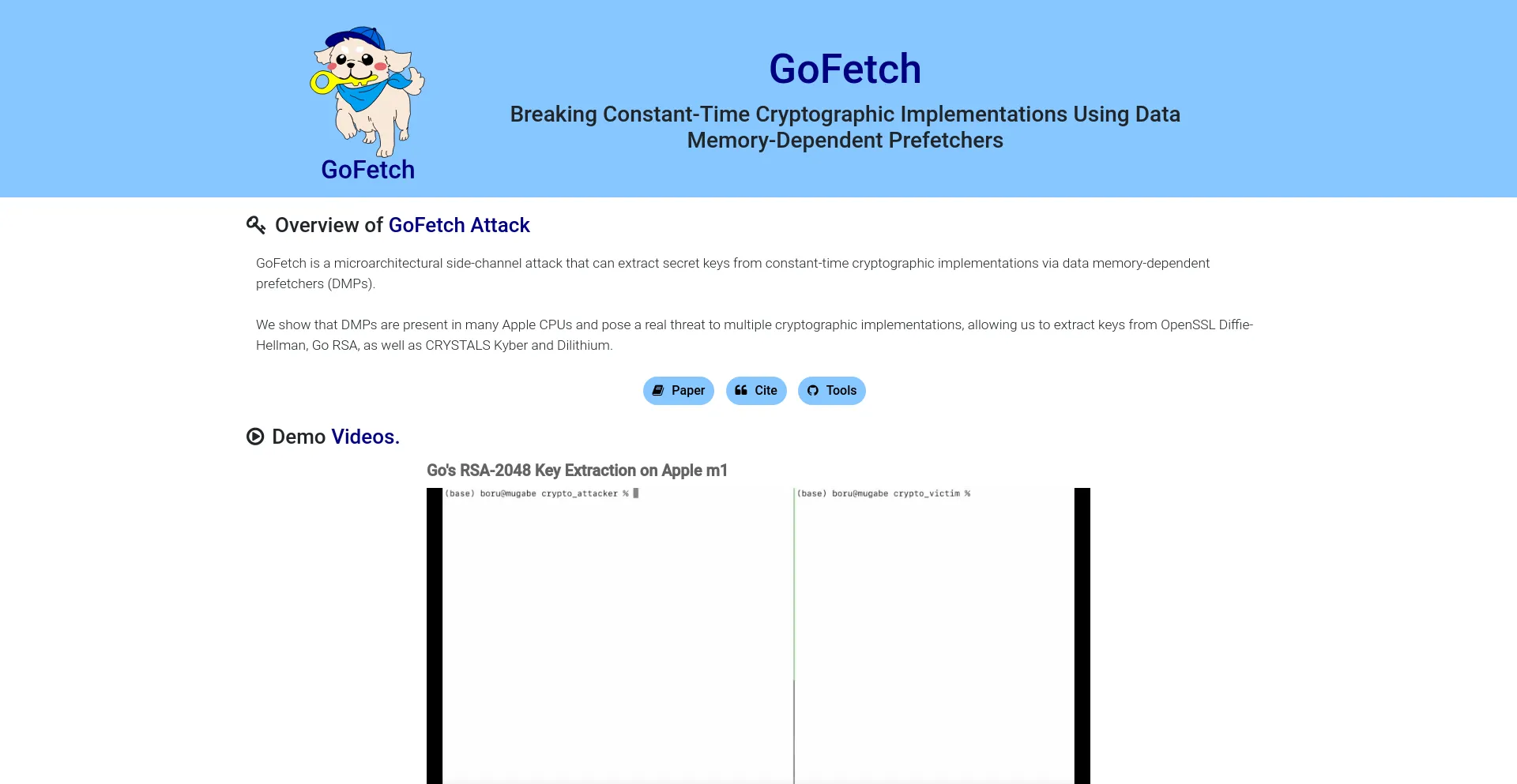 Gofetch.fail