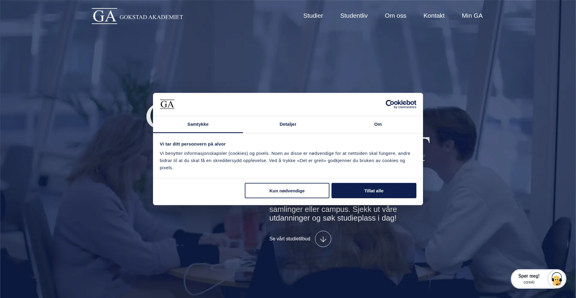 Website screenshot of Gokstadakademiet.no