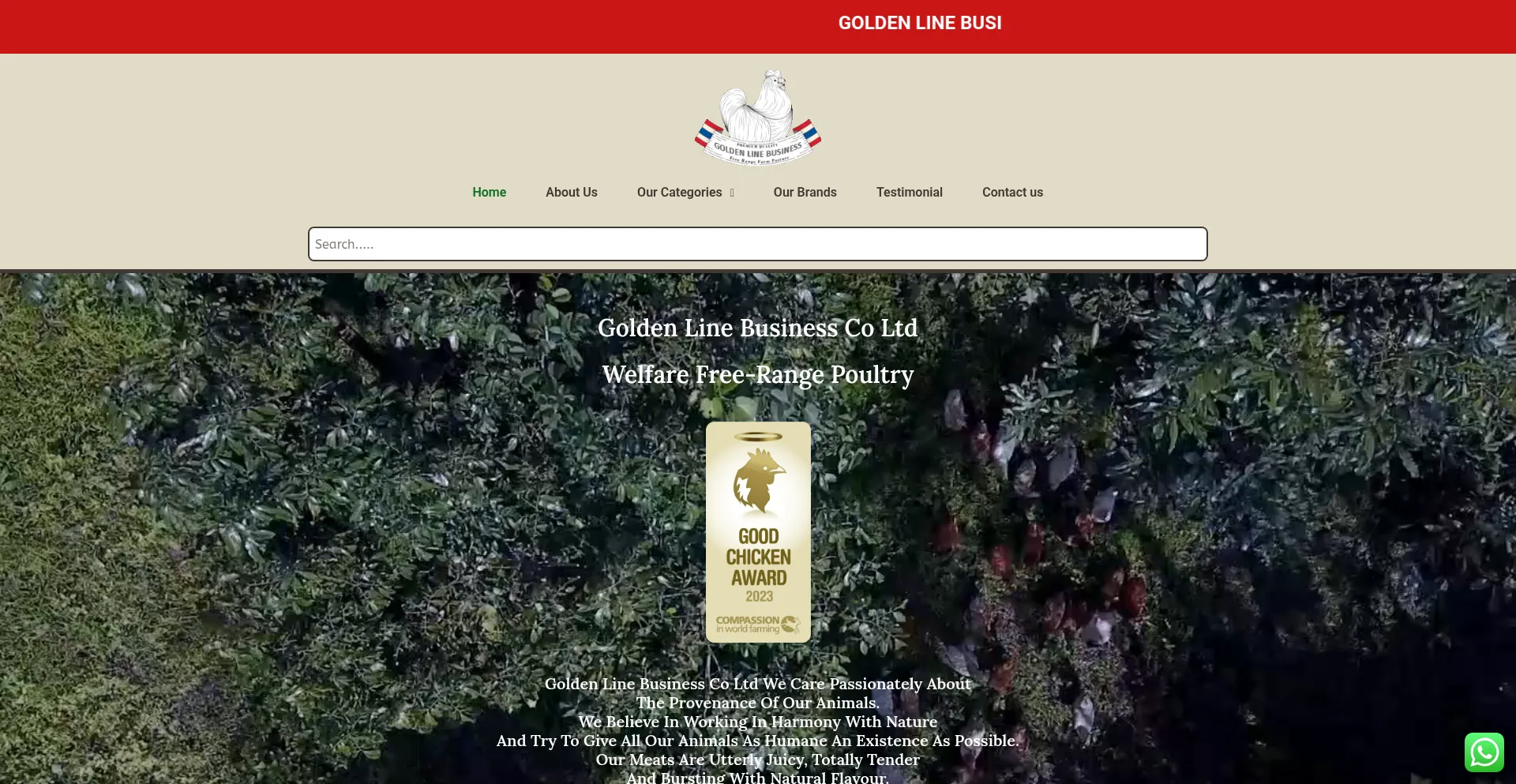 Website screenshot of Goldenlinebusinesscoltd.com