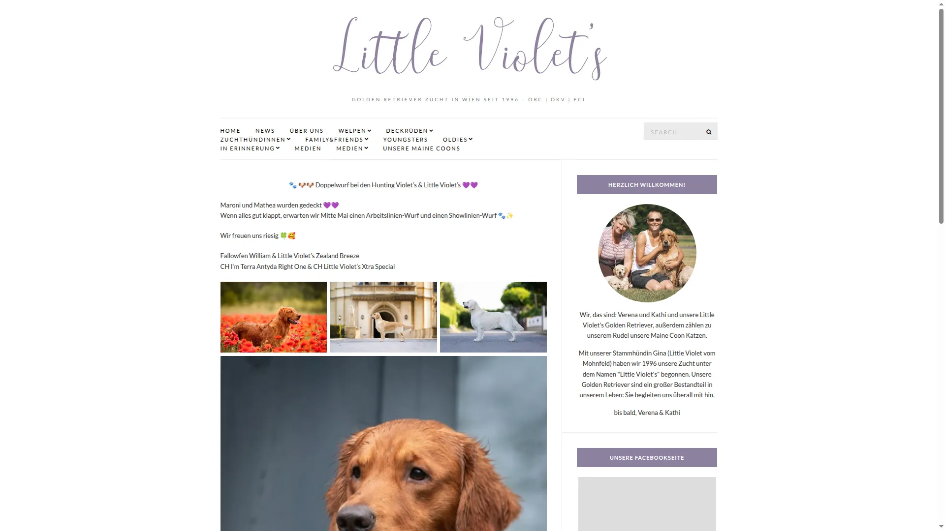 Goldenretriever.at