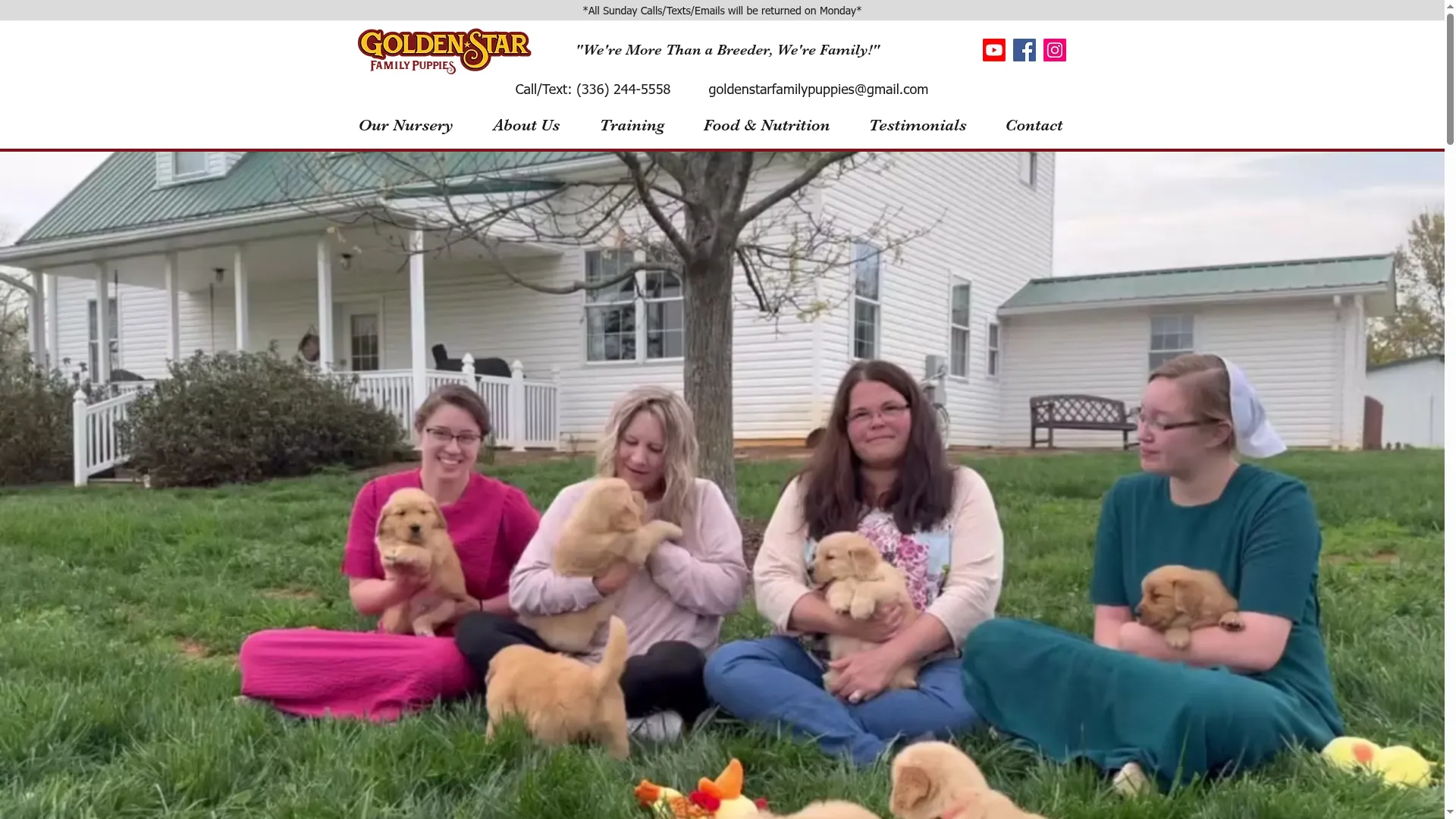 Goldenstarfamilypuppies.com