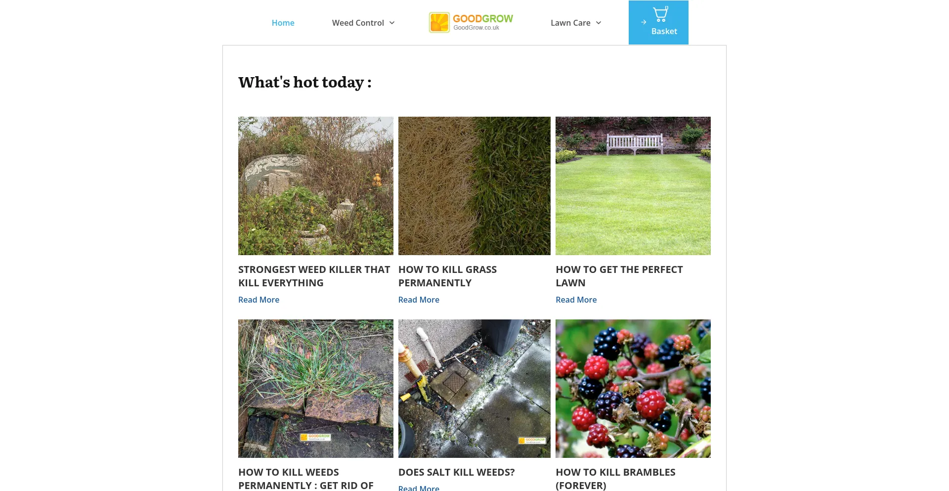 Website screenshot of Goodgrow.uk