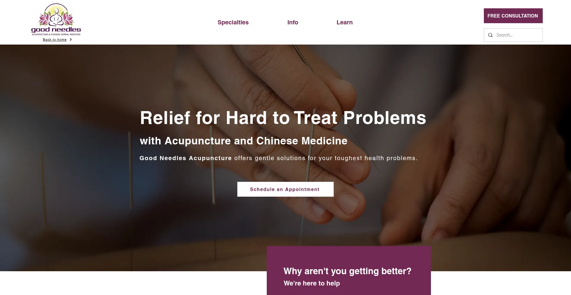 Goodneedles.com é Seguro e Confiável?