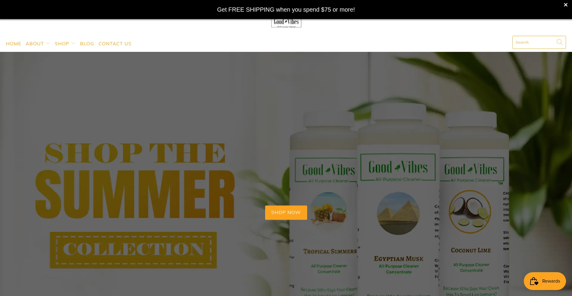 Website screenshot of Goodvibesclean.com