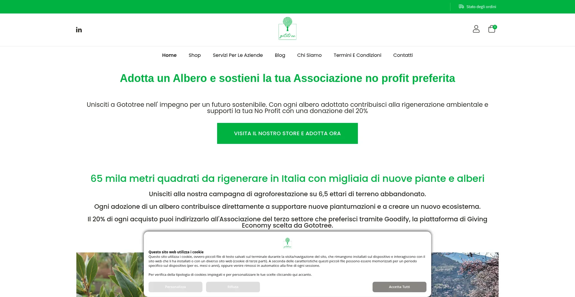 Gototree.it