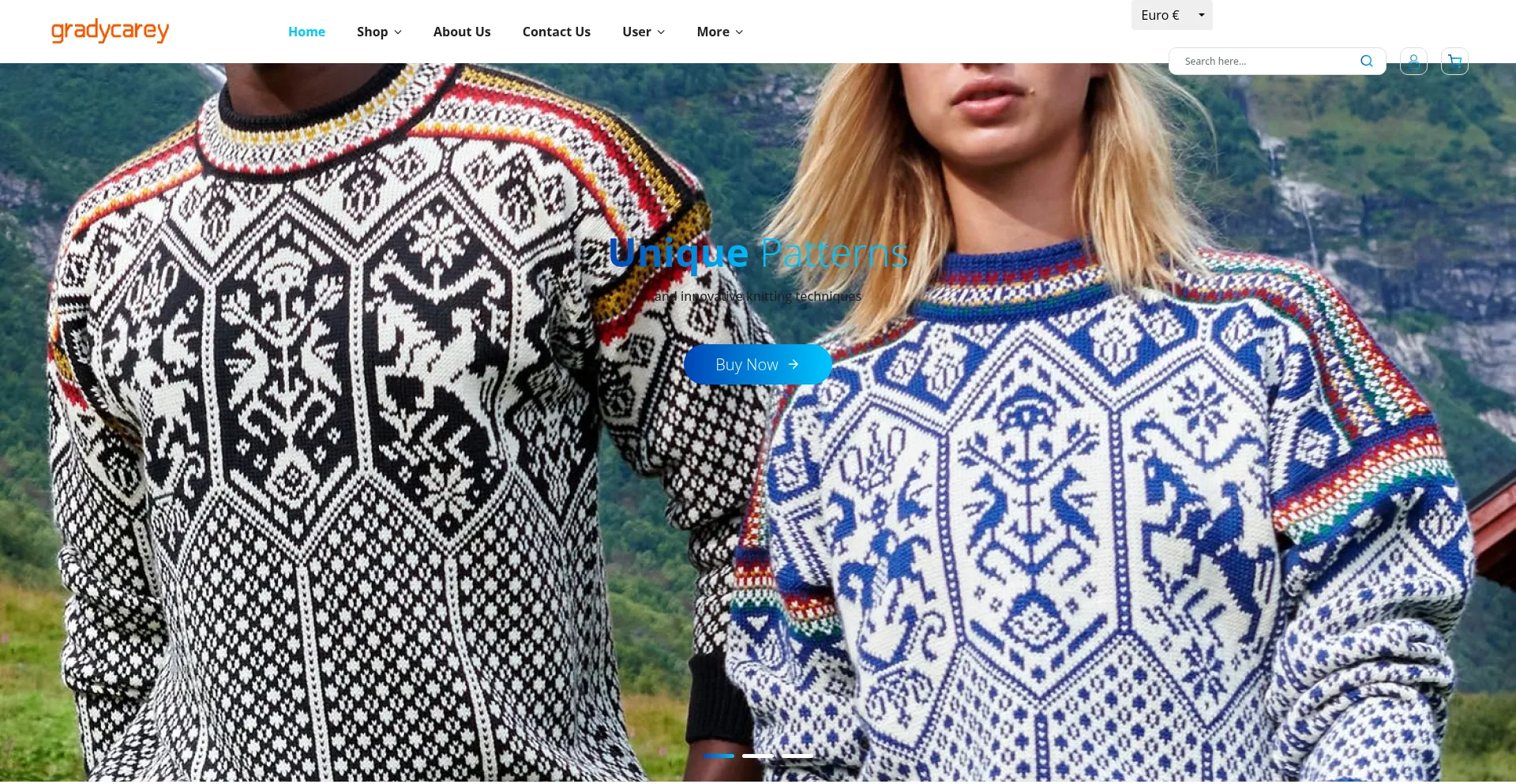 Website screenshot of Gradycarey.com