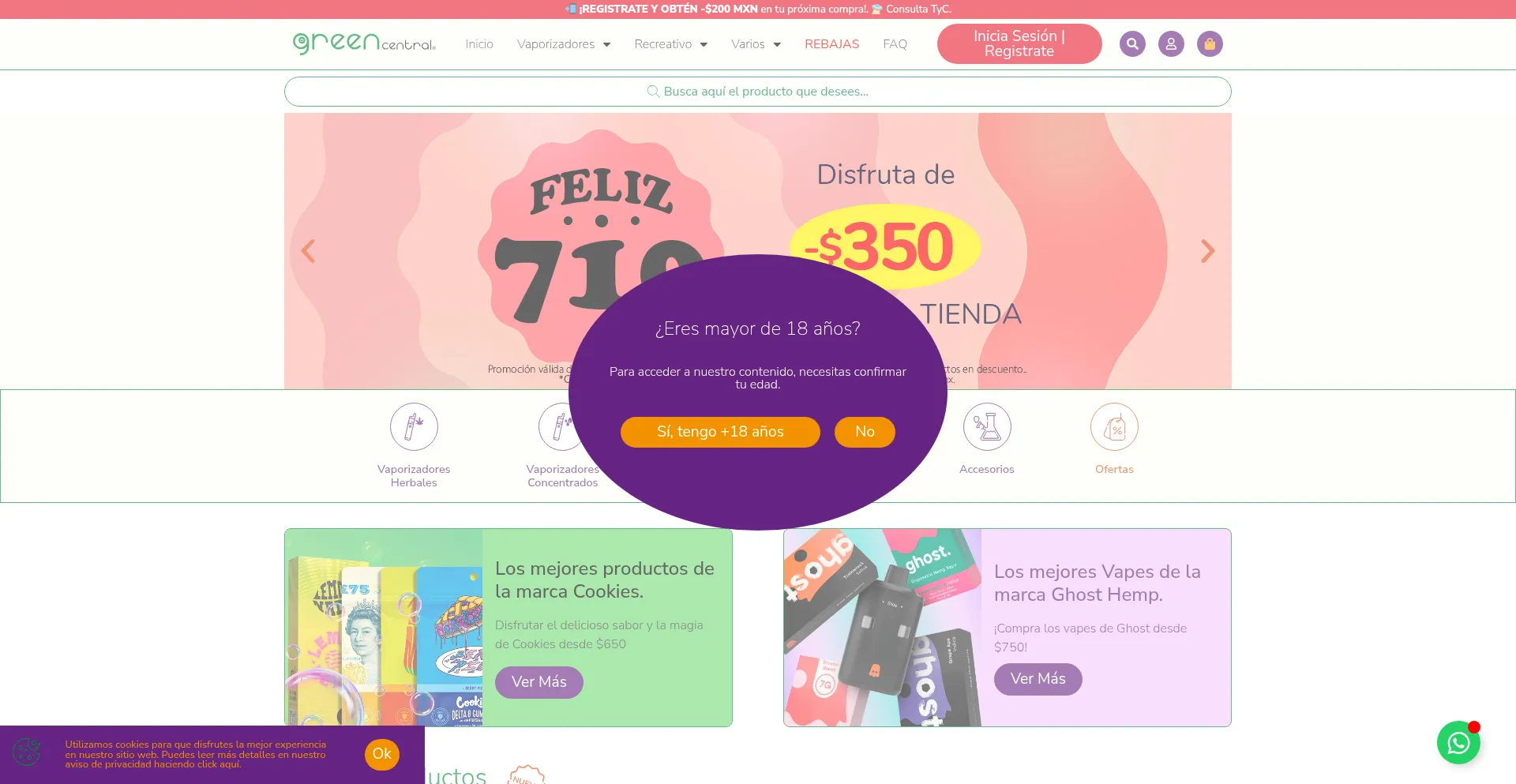 Website screenshot of Greencentral.mx
