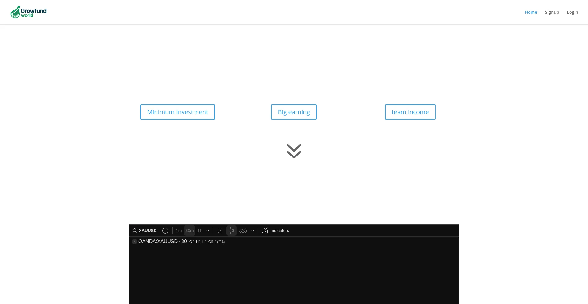 Website screenshot of Growfund.world