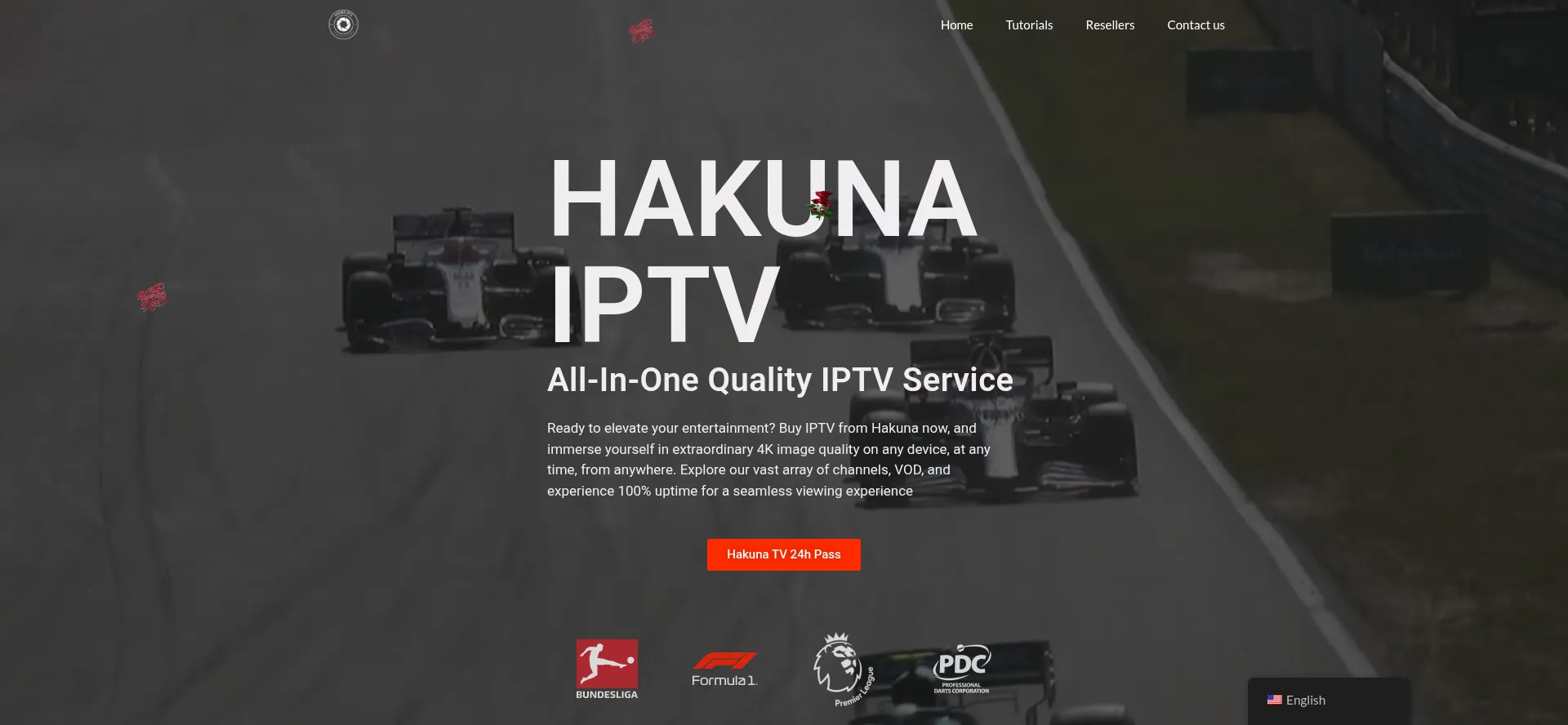 Website screenshot of Hakuna-tv.com