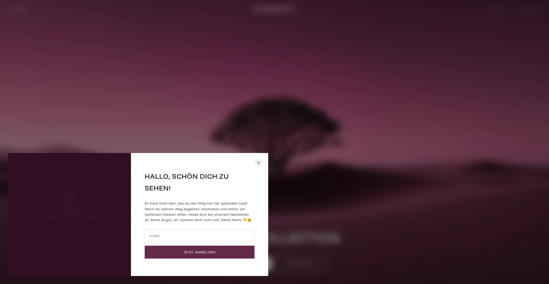Hannybeauty.de