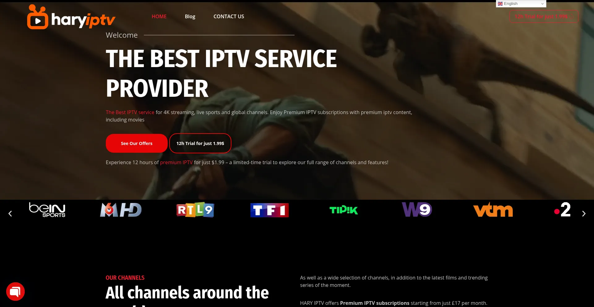 Website screenshot of Haryiptv.com