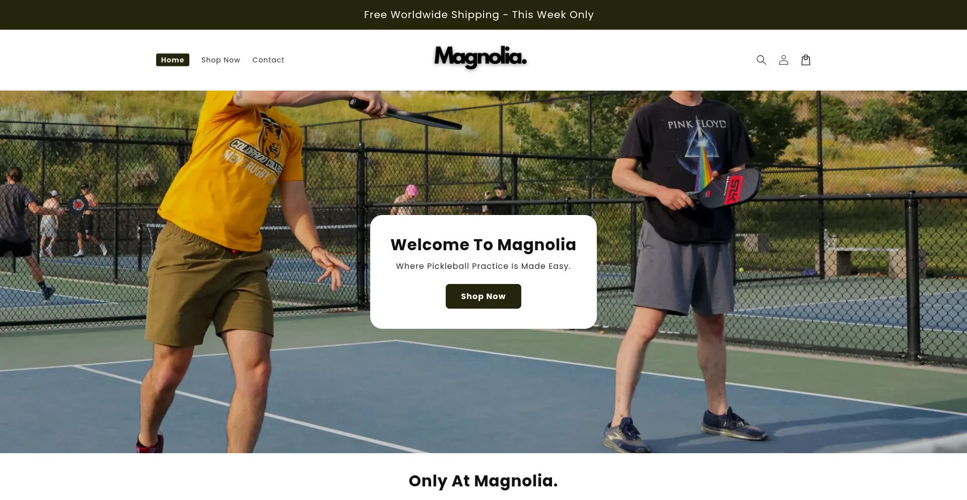 Havenofmagnolia.com é Seguro e Confiável?