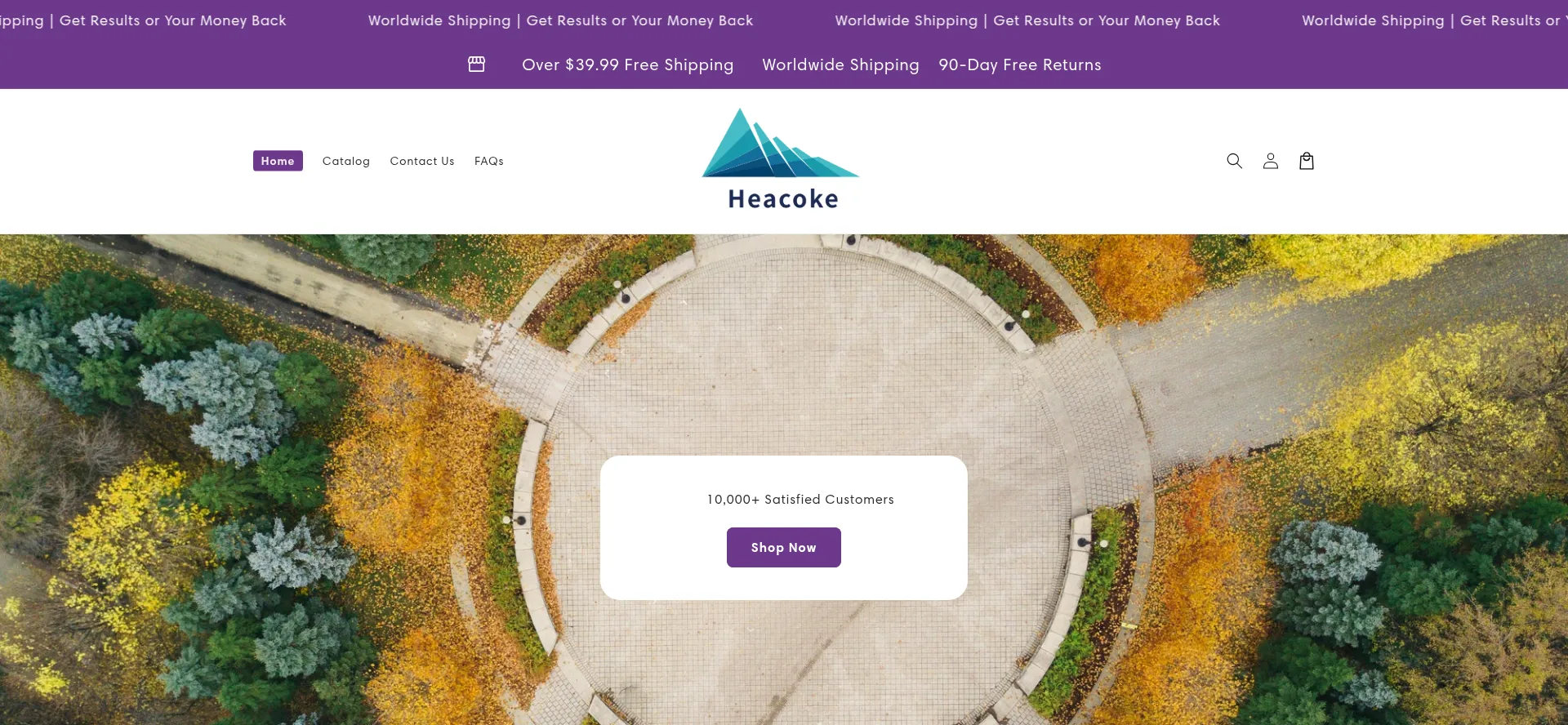 Website screenshot of Heacoke.com
