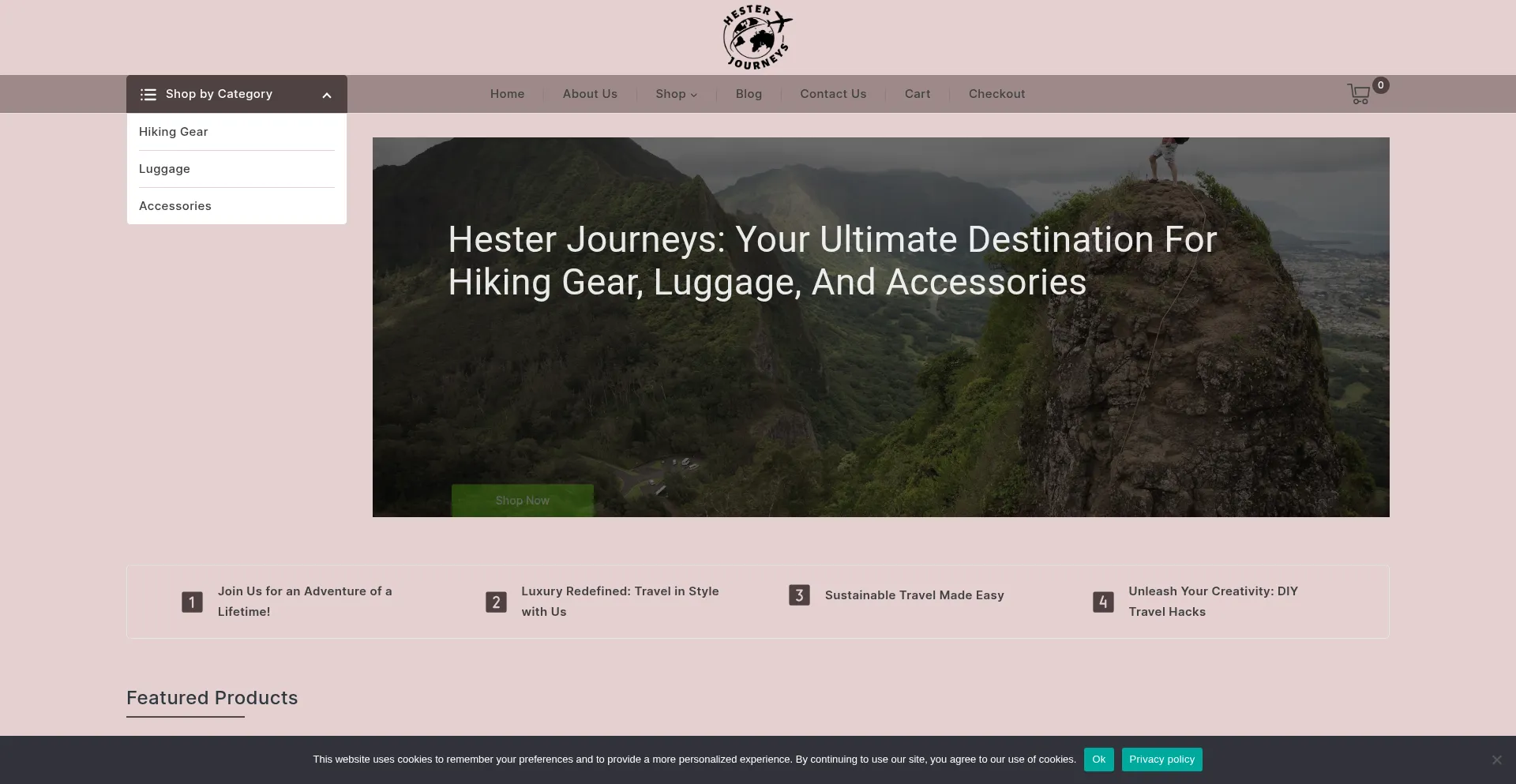 Website screenshot of Hesterjourneys.com