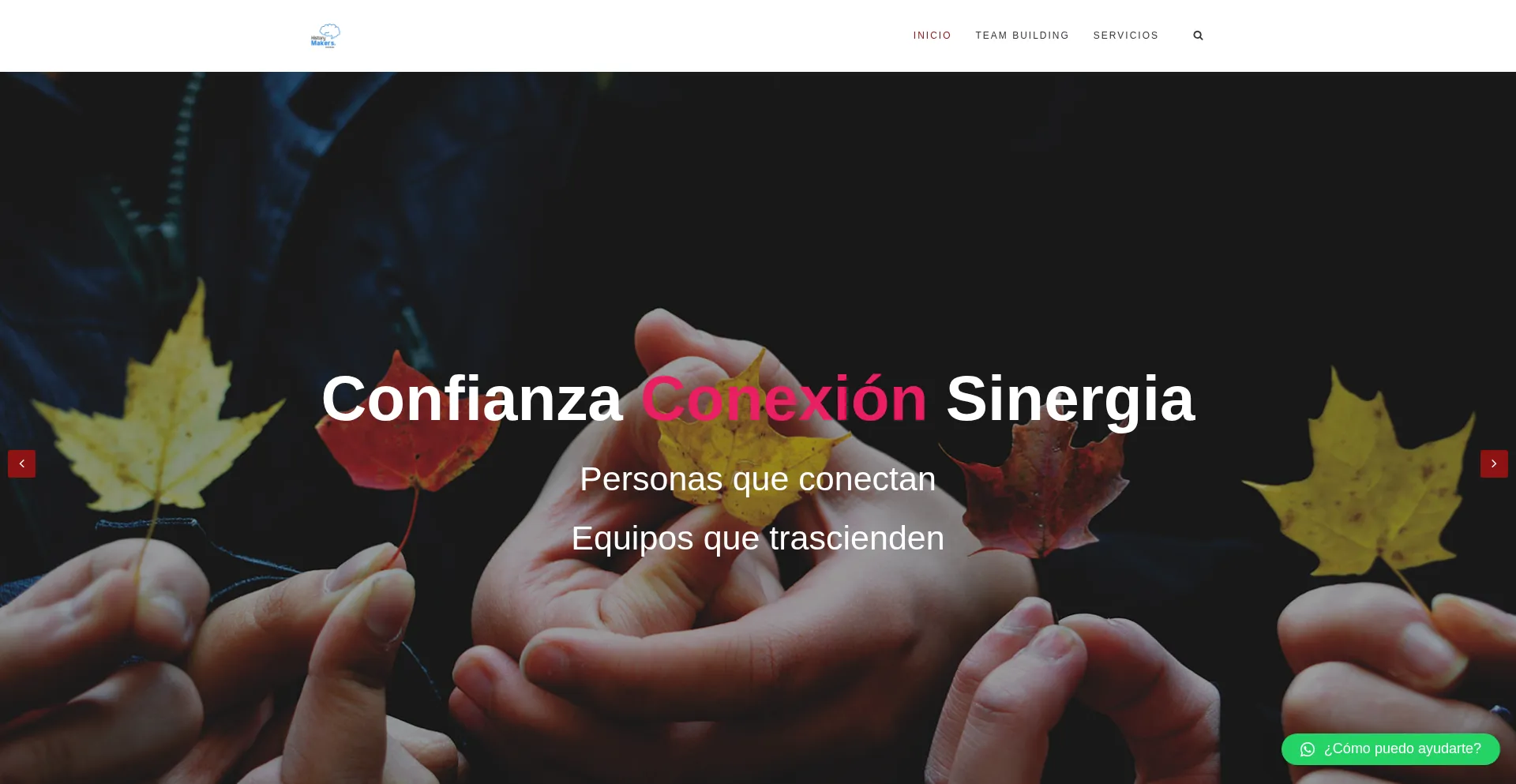 Website screenshot of Historymakersinstitute.com