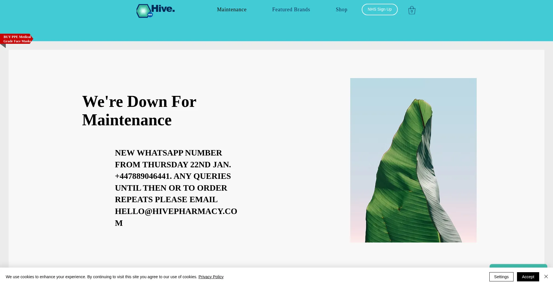 Hivepharmacy.com