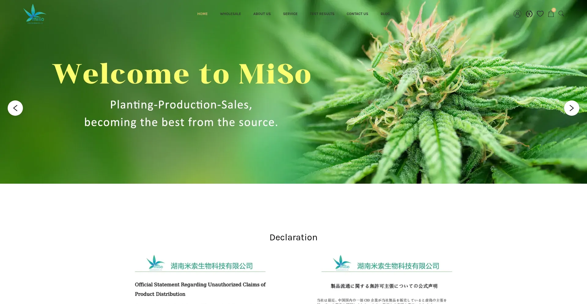 Website screenshot of Hnmisobio.com