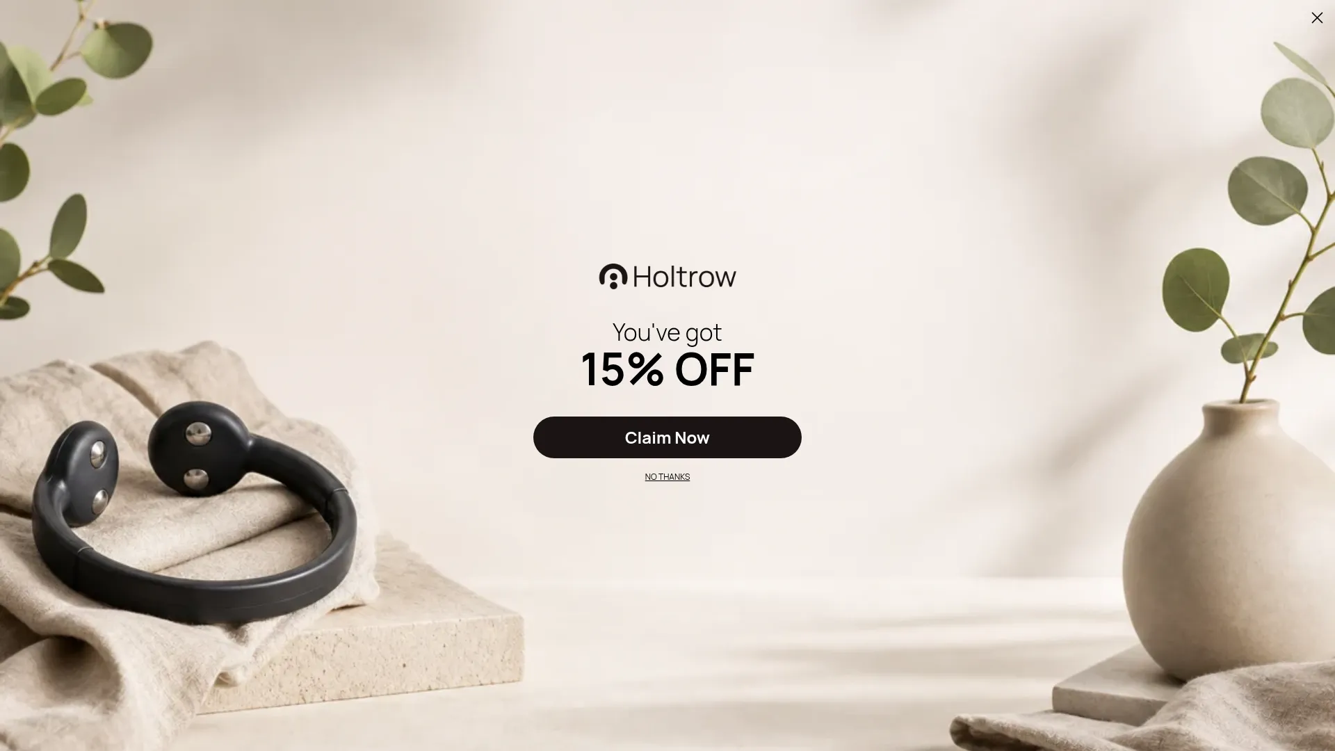 Holtrow.com