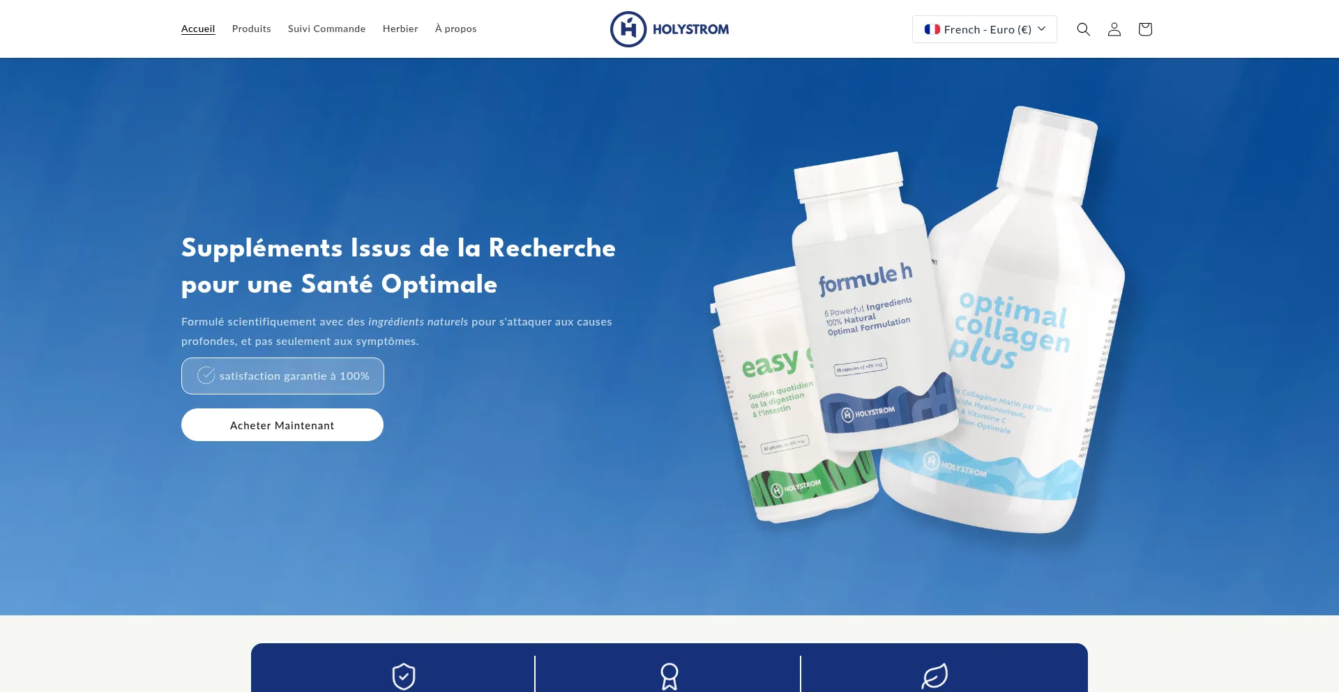 Holystrom.com Screenshot