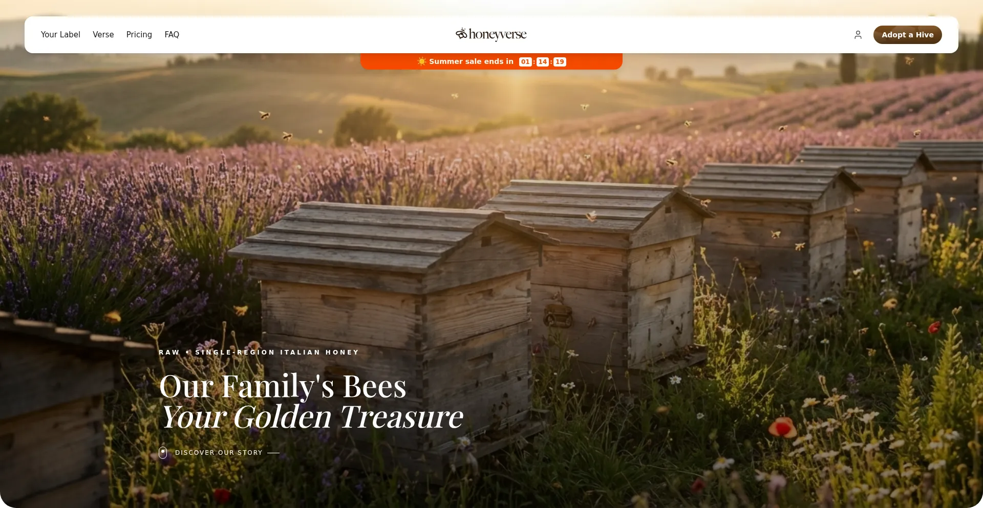 Honey-verse.com