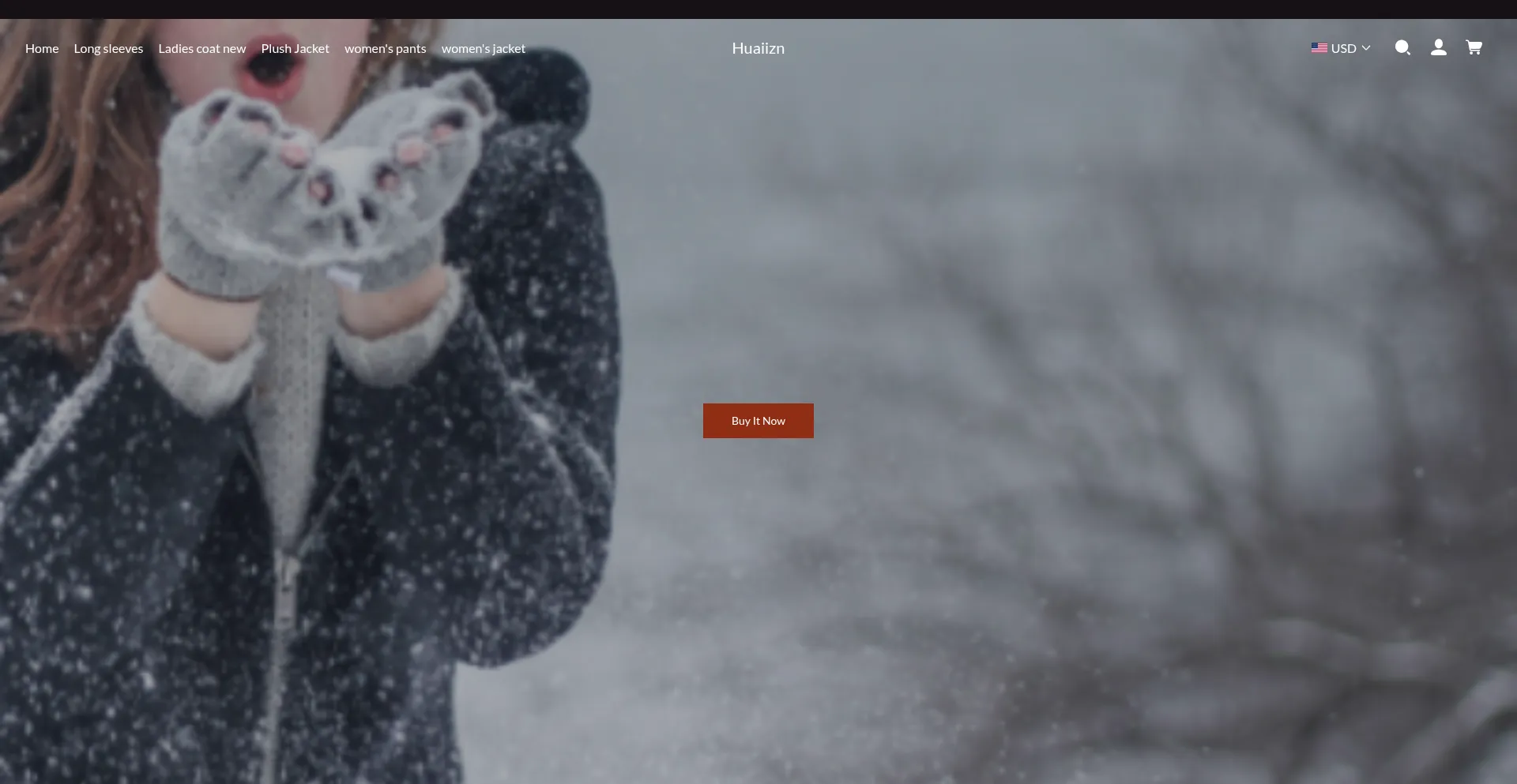 Website screenshot of Huaiizn.com