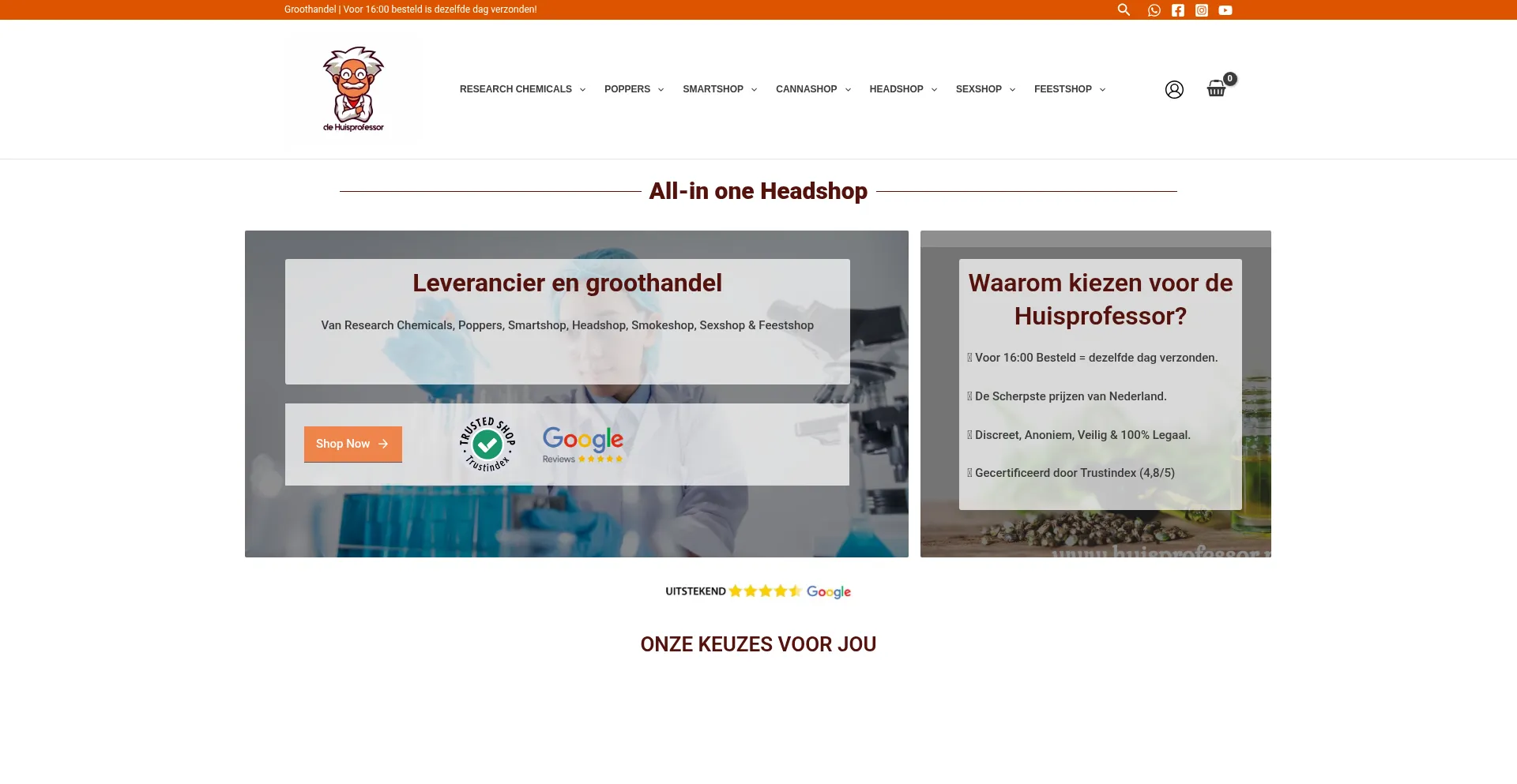 Huisprofessor.nl é Seguro e Confiável?