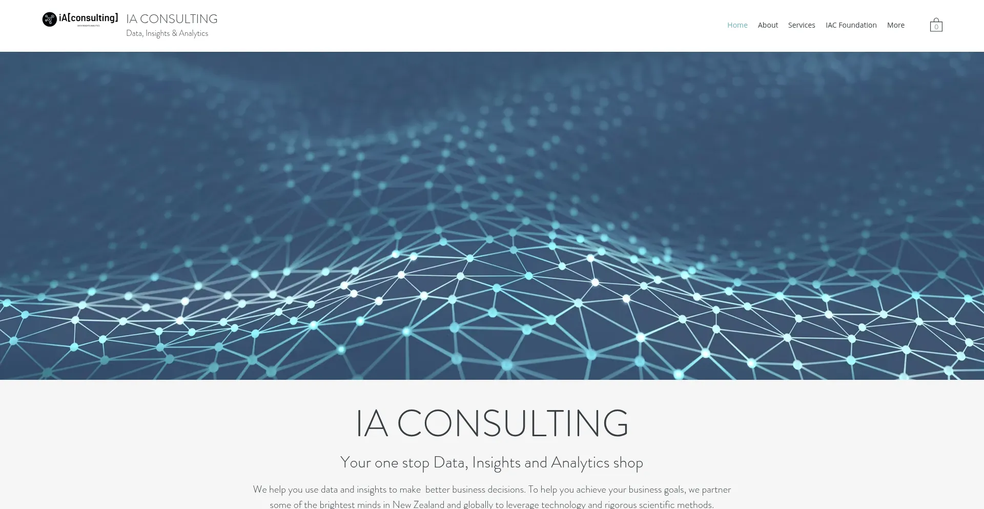 Website screenshot of Iaconsulting.co.nz