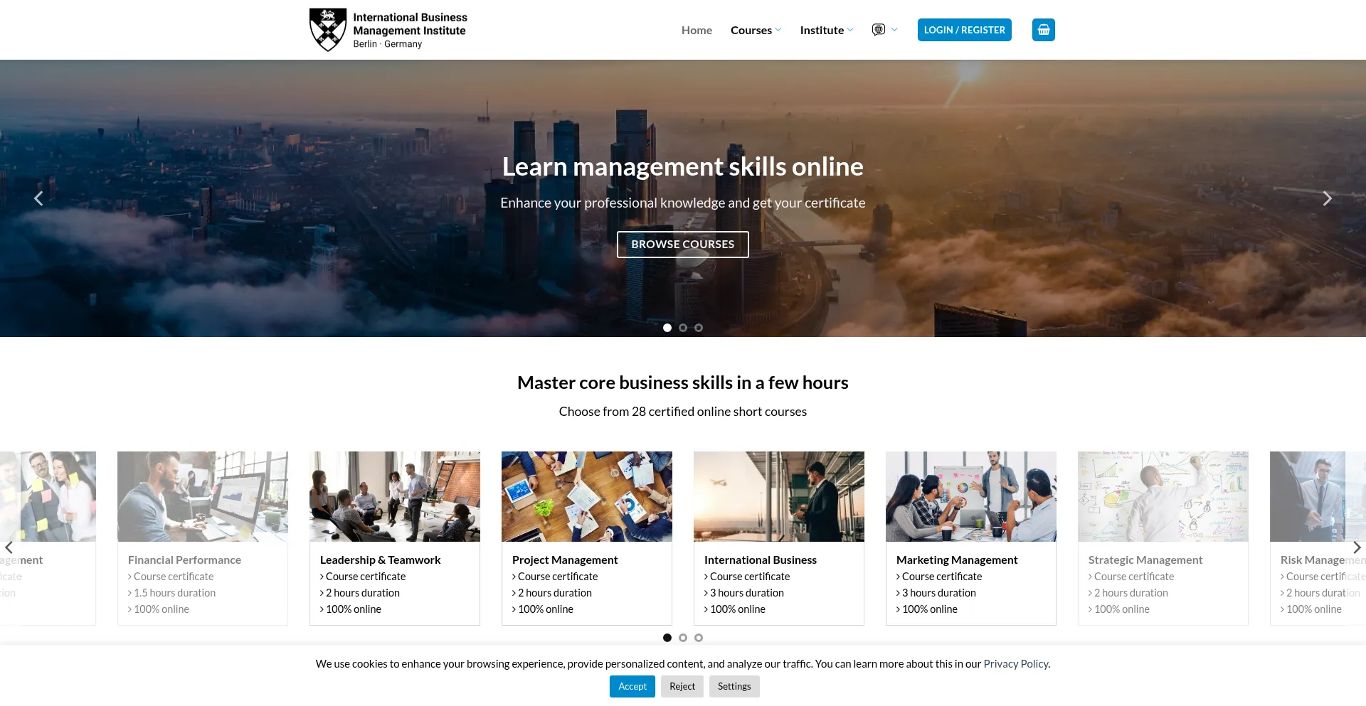 Website screenshot of Ibm-institute.com