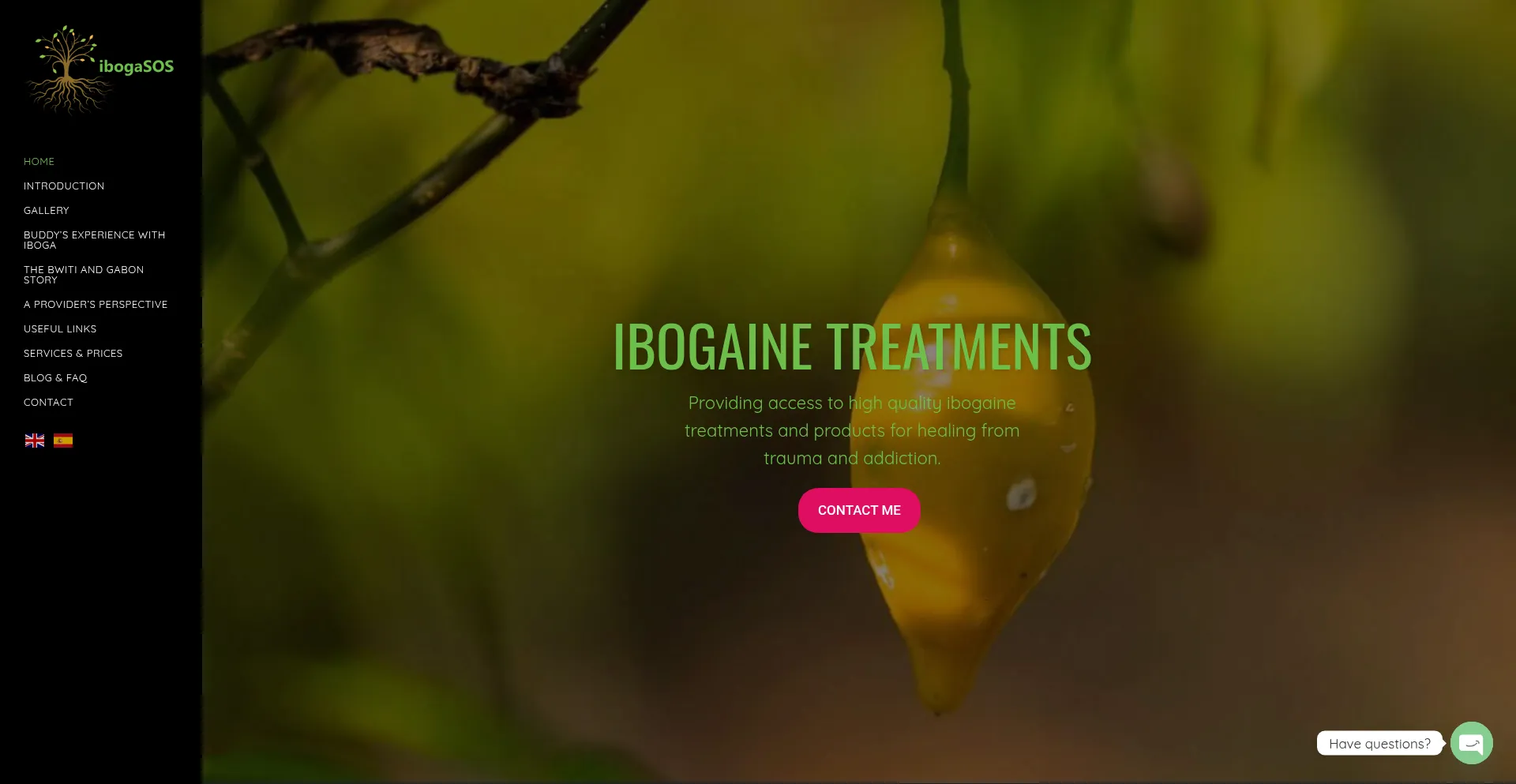 Ibogasos.com