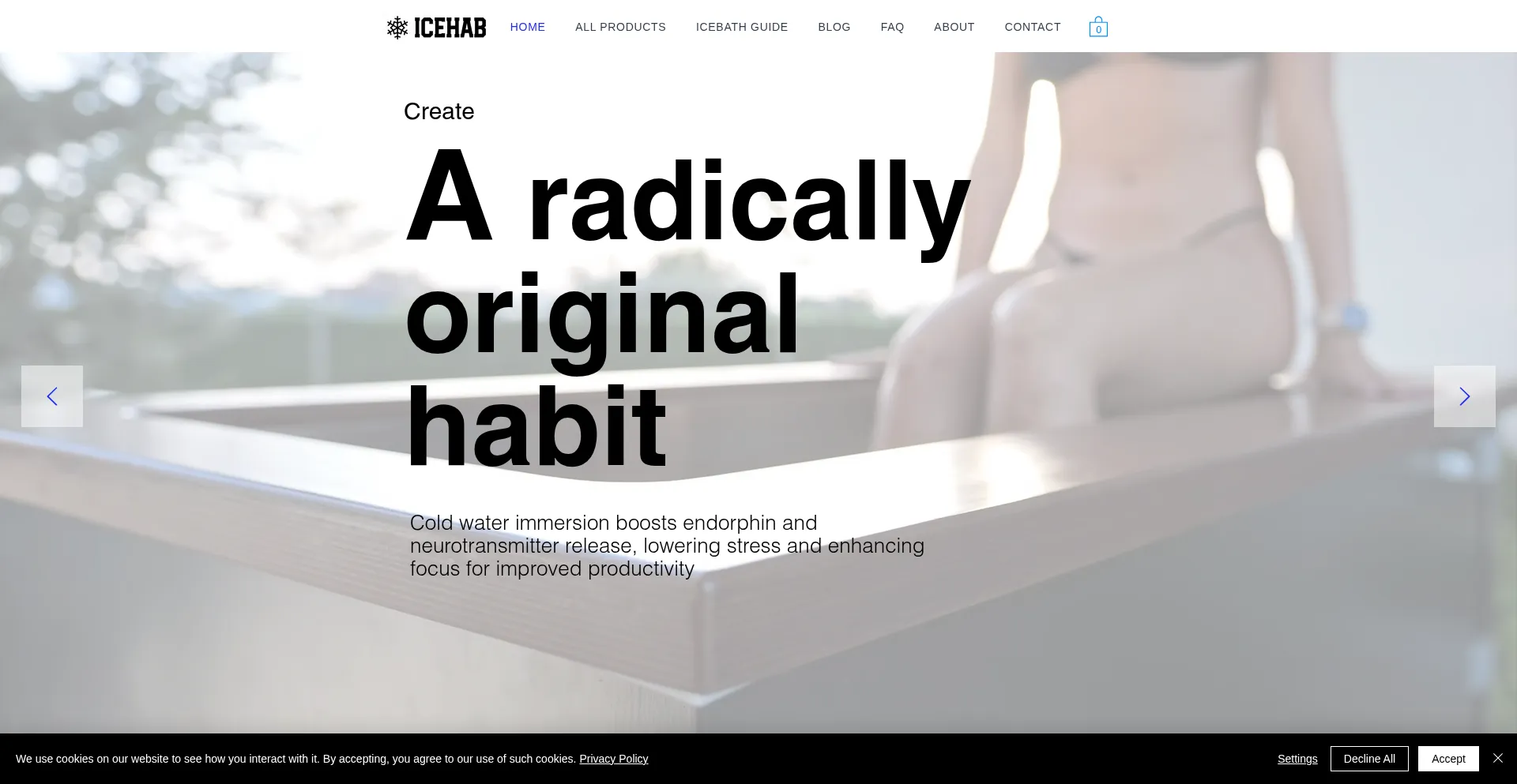 Website screenshot of Icehab.com