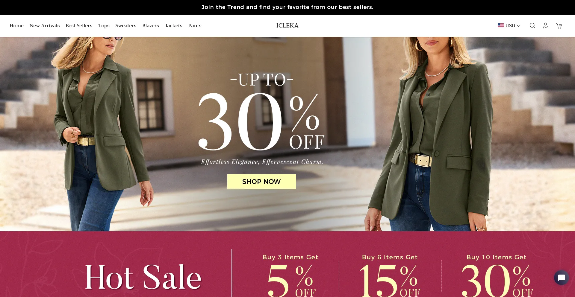 Website screenshot of Icleka.com