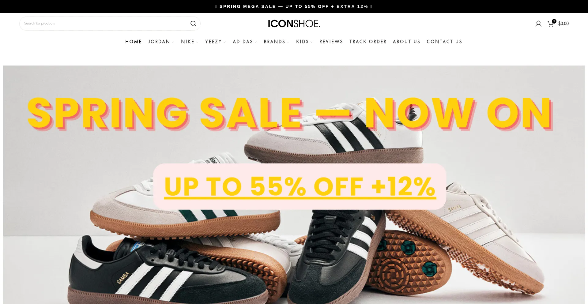 Iconshoe.com