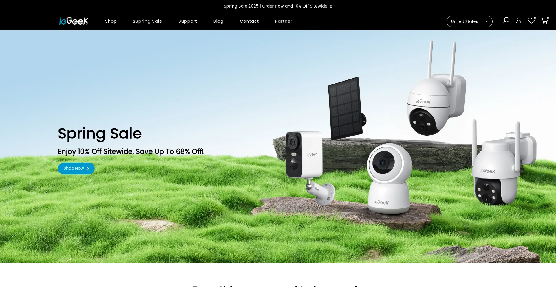 Website screenshot of Iegeek.com