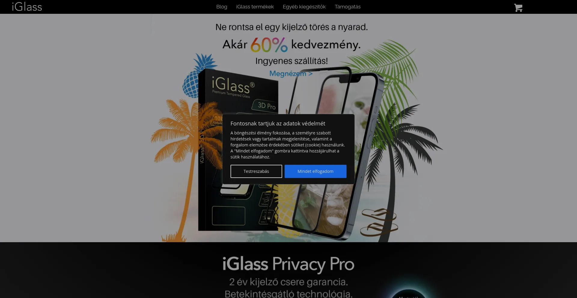 Website screenshot of Iglass.hu