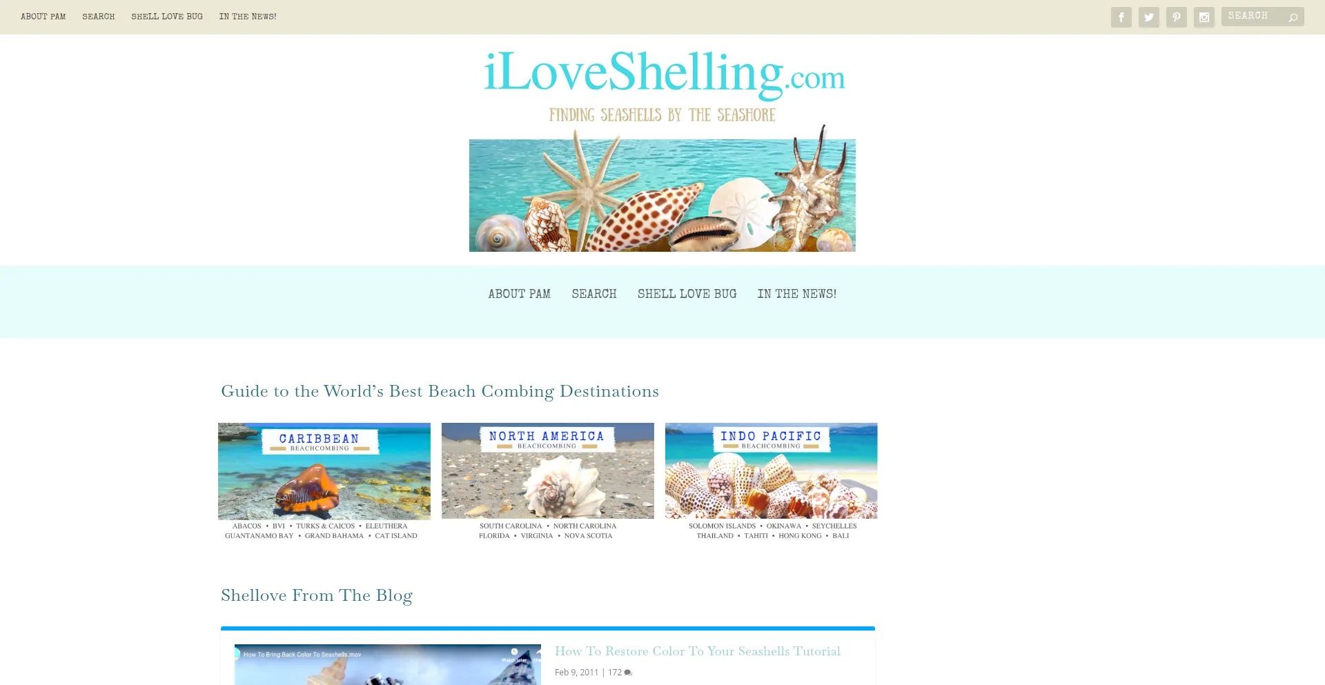 Iloveshelling.com é Seguro e Confiável?