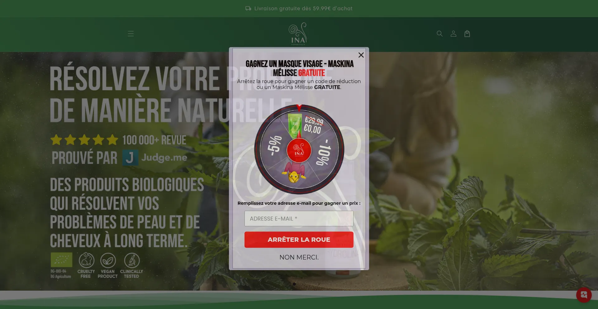 Website screenshot of Inaessentials.fr