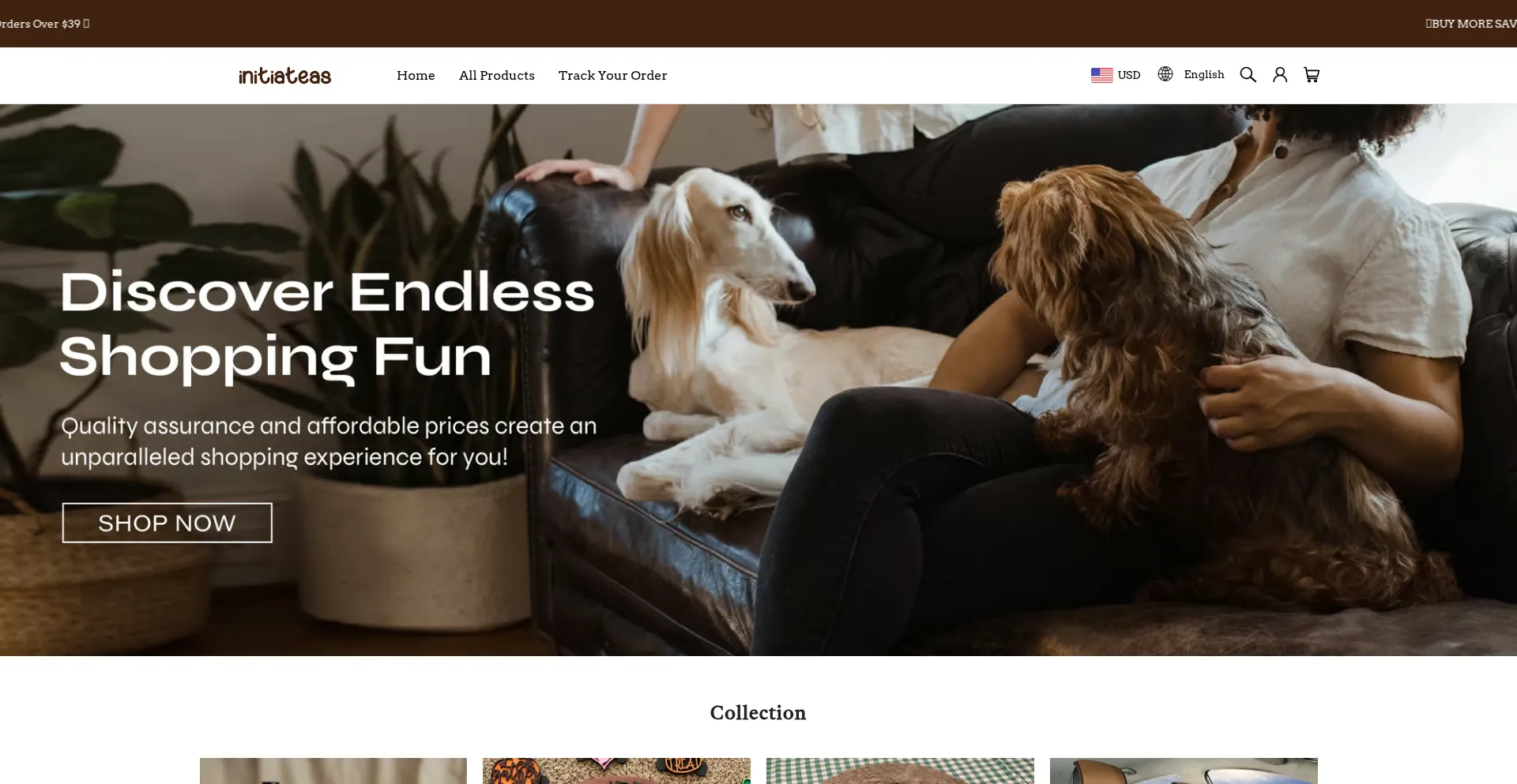 Website screenshot of Initiateas.com