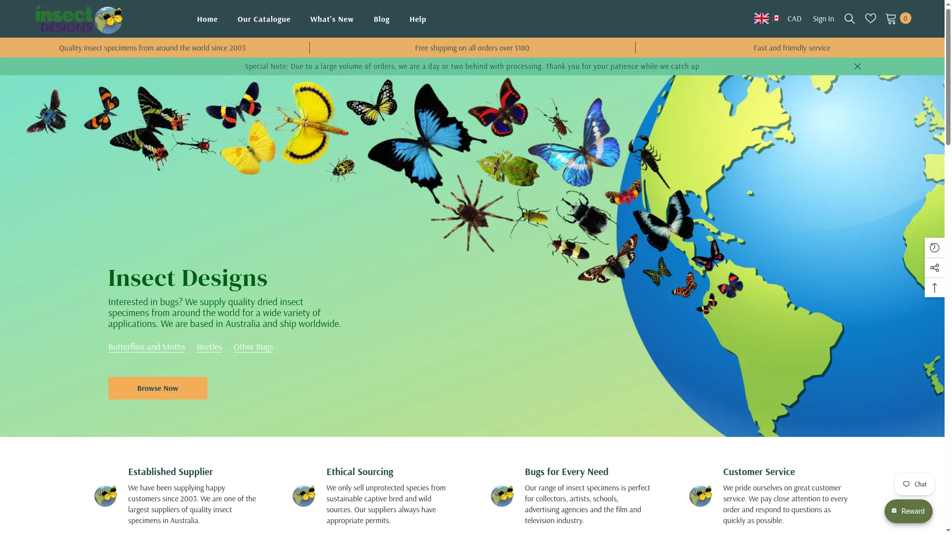 Insectdesigns.com