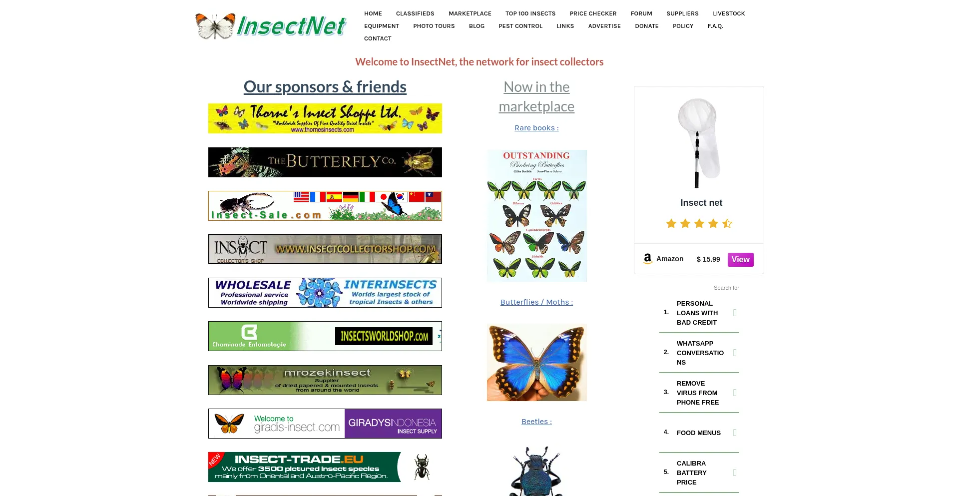 Website screenshot of Insectnet.com