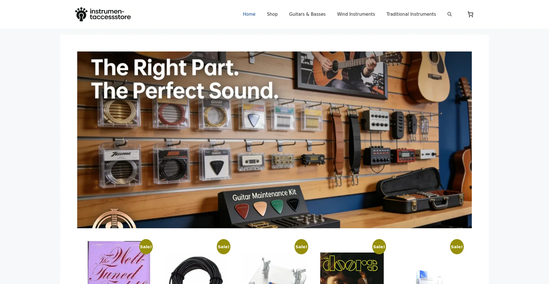 Instrumentaccessstore.com