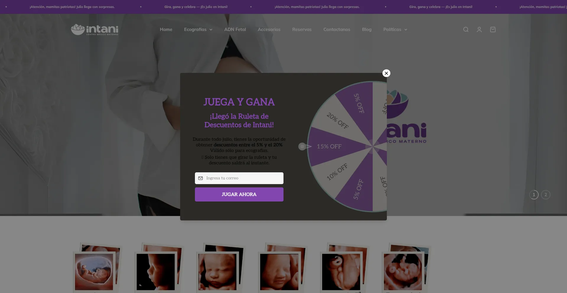 Website screenshot of Intani.pe