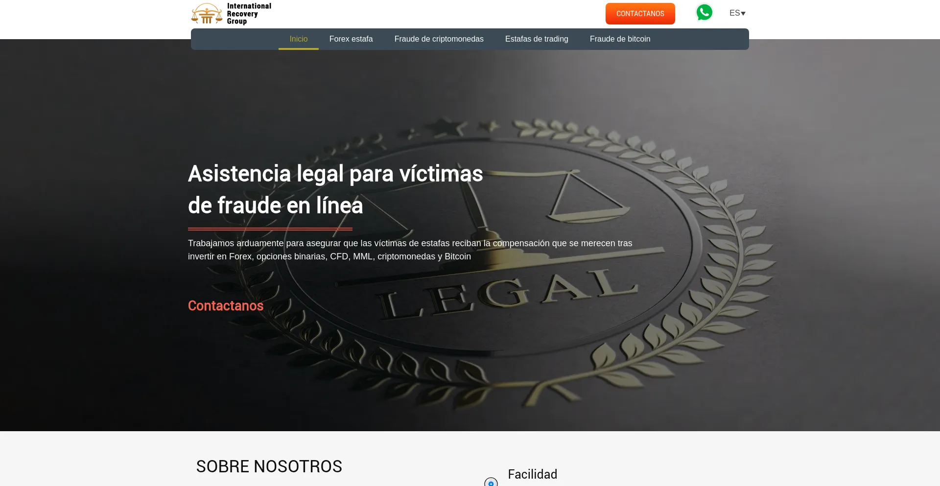 Website screenshot of Internationalrecoverygroup.com