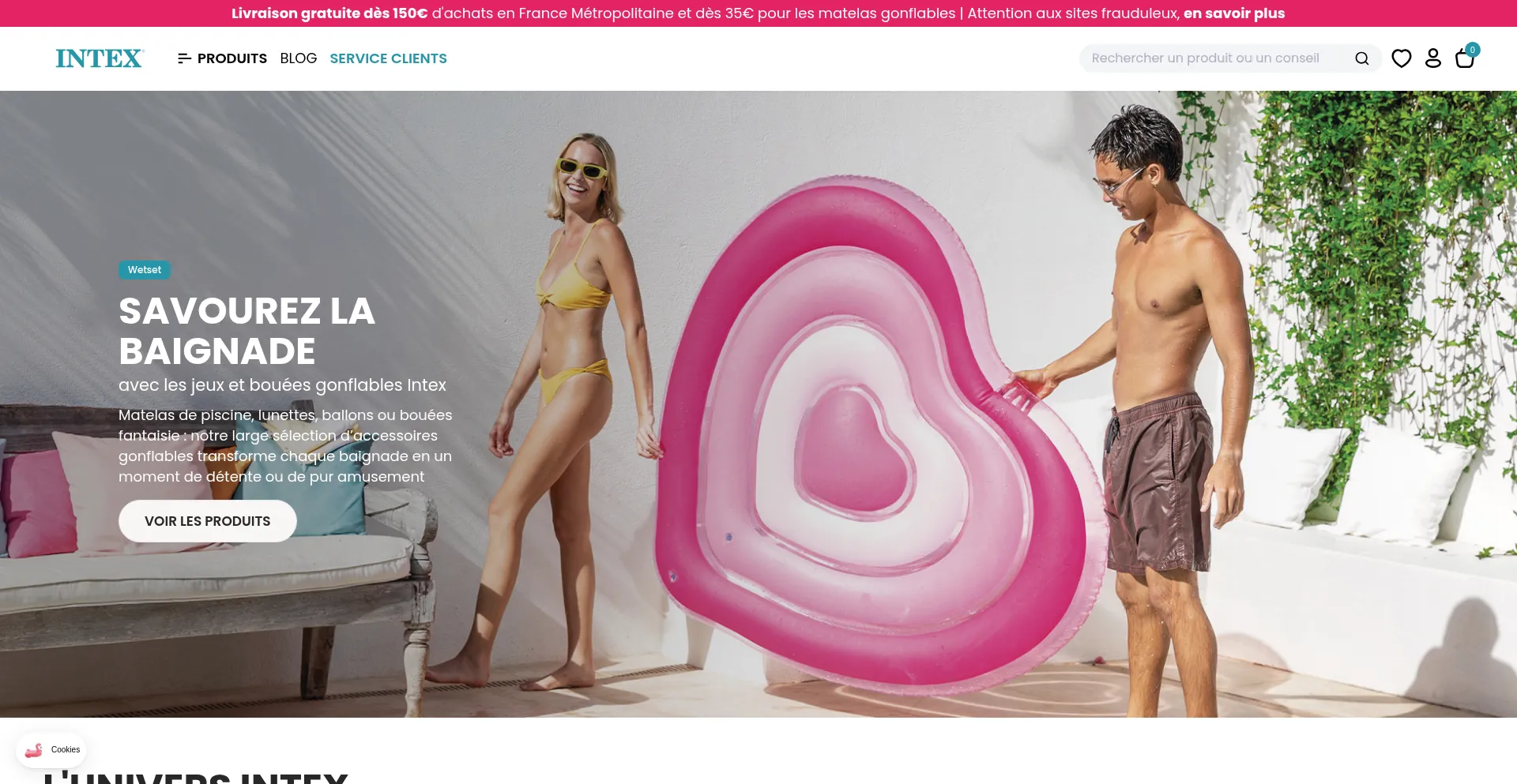 Website screenshot of Intex.fr